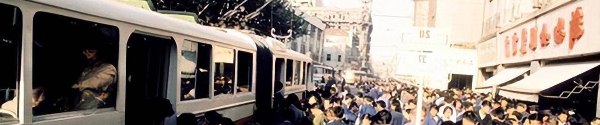 关于熊猫体育